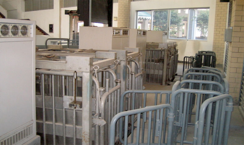 廣州嘉禾牲畜交易市場